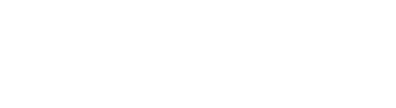 Microsoft Partner